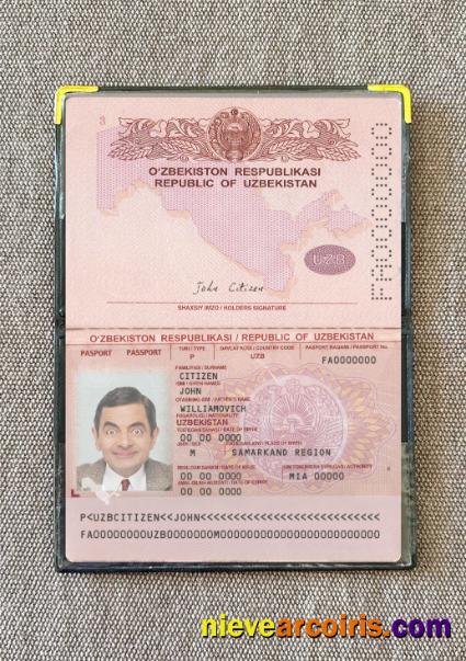 Uzbekistan passport 2022-present photolook